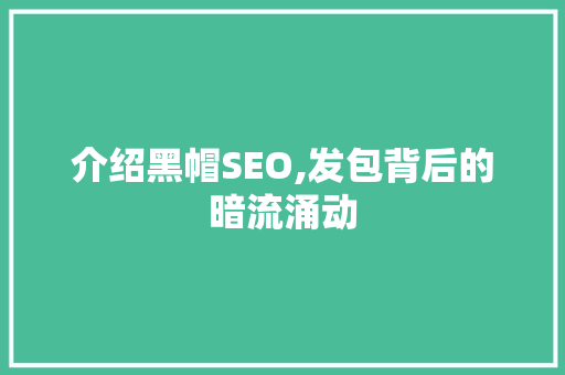 介绍黑帽SEO,发包背后的暗流涌动