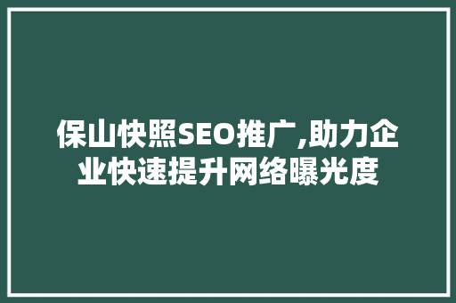 保山快照SEO推广,助力企业快速提升网络曝光度