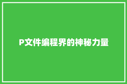 P文件编程界的神秘力量