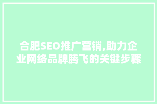 合肥SEO推广营销,助力企业网络品牌腾飞的关键步骤