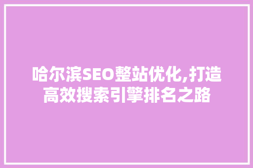 哈尔滨SEO整站优化,打造高效搜索引擎排名之路