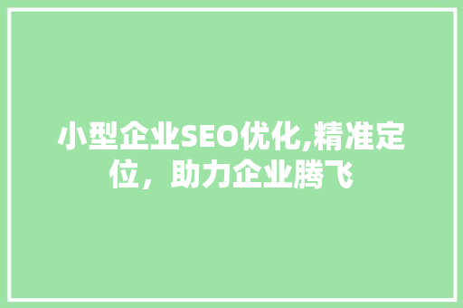 小型企业SEO优化,精准定位，助力企业腾飞