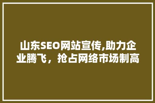 山东SEO网站宣传,助力企业腾飞，抢占网络市场制高点