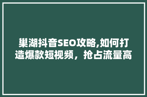 巢湖抖音SEO攻略,如何打造爆款短视频，抢占流量高地