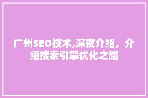 广州SEO技术,深夜介绍，介绍搜索引擎优化之路