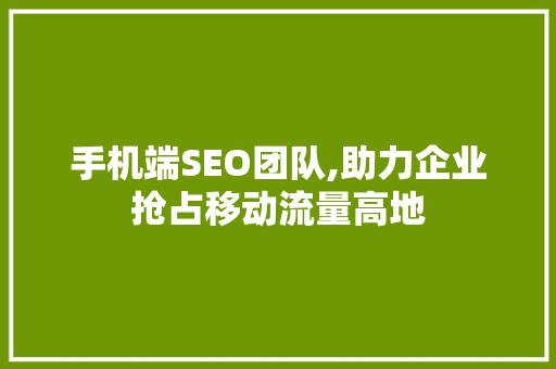 手机端SEO团队,助力企业抢占移动流量高地