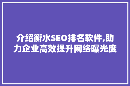介绍衡水SEO排名软件,助力企业高效提升网络曝光度