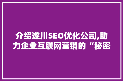 介绍遂川SEO优化公司,助力企业互联网营销的“秘密武器”