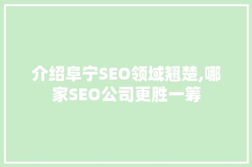介绍阜宁SEO领域翘楚,哪家SEO公司更胜一筹