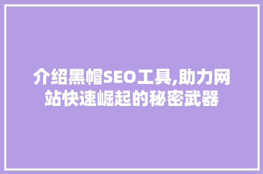 介绍黑帽SEO工具,助力网站快速崛起的秘密武器
