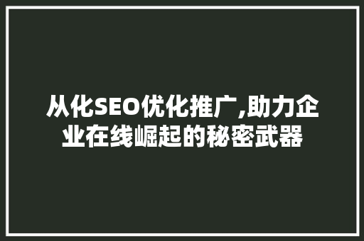 从化SEO优化推广,助力企业在线崛起的秘密武器