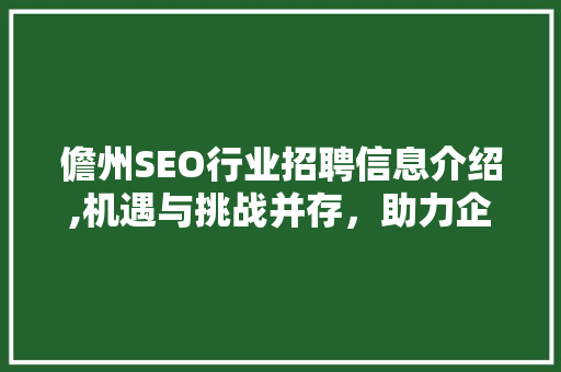 儋州SEO行业招聘信息介绍,机遇与挑战并存，助力企业乘风破浪