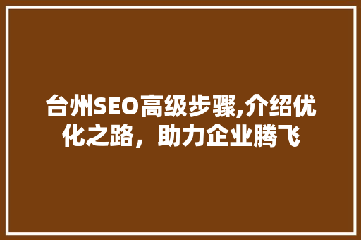 台州SEO高级步骤,介绍优化之路，助力企业腾飞