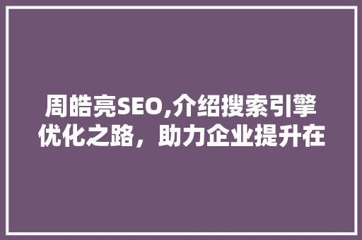 周皓亮SEO,介绍搜索引擎优化之路，助力企业提升在线竞争力