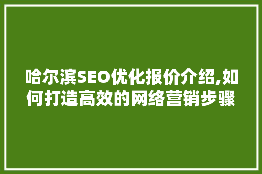 哈尔滨SEO优化报价介绍,如何打造高效的网络营销步骤