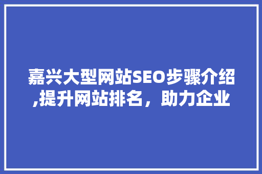 嘉兴大型网站SEO步骤介绍,提升网站排名，助力企业腾飞