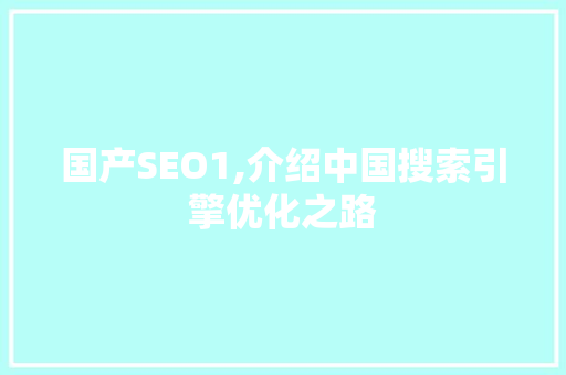 国产SEO1,介绍中国搜索引擎优化之路