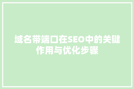 域名带端口在SEO中的关键作用与优化步骤
