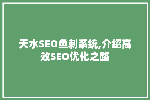 天水SEO鱼刺系统,介绍高效SEO优化之路