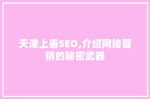 天津上善SEO,介绍网络营销的秘密武器