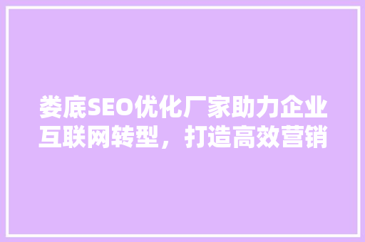 娄底SEO优化厂家助力企业互联网转型，打造高效营销新格局
