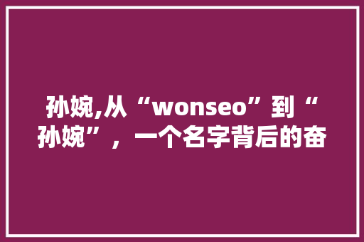 孙婉,从“wonseo”到“孙婉”，一个名字背后的奋斗与成长