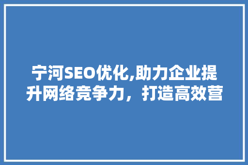 宁河SEO优化,助力企业提升网络竞争力，打造高效营销步骤