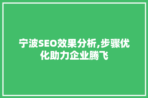 宁波SEO效果分析,步骤优化助力企业腾飞