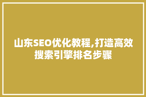 山东SEO优化教程,打造高效搜索引擎排名步骤