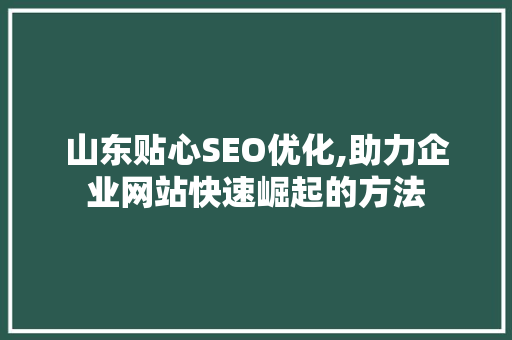 山东贴心SEO优化,助力企业网站快速崛起的方法