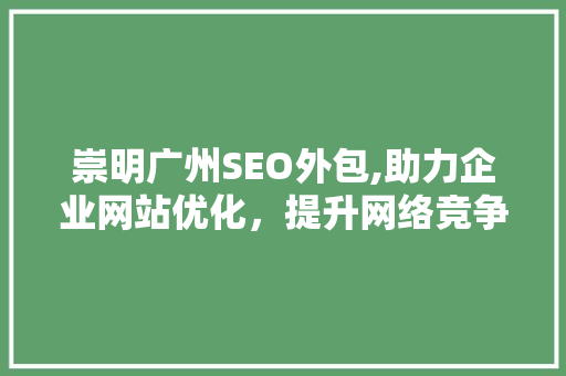 崇明广州SEO外包,助力企业网站优化，提升网络竞争力