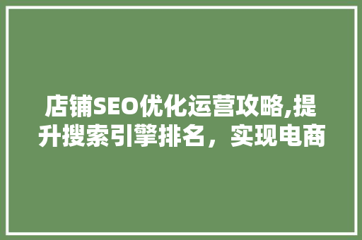 店铺SEO优化运营攻略,提升搜索引擎排名，实现电商增长