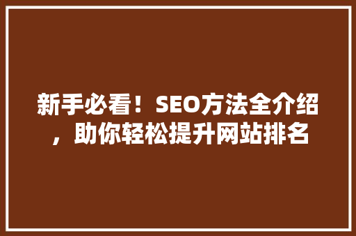 新手必看！SEO方法全介绍，助你轻松提升网站排名  第1张