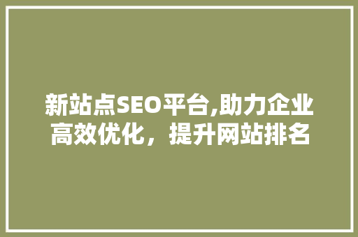 新站点SEO平台,助力企业高效优化，提升网站排名  第1张