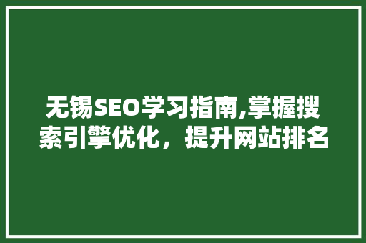 无锡SEO学习指南,掌握搜索引擎优化，提升网站排名