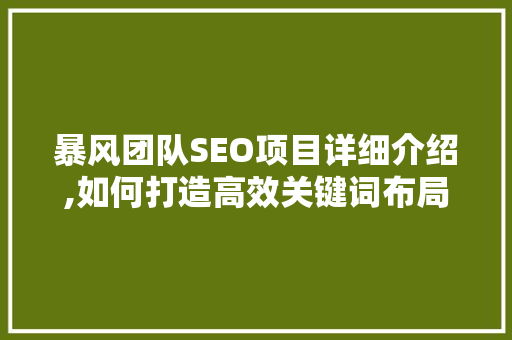 暴风团队SEO项目详细介绍,如何打造高效关键词布局