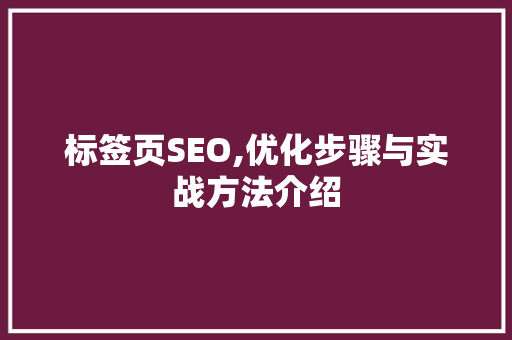 标签页SEO,优化步骤与实战方法介绍