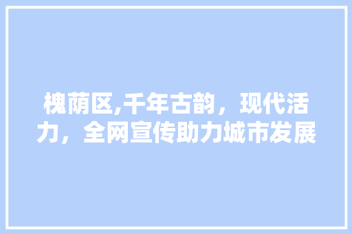 槐荫区,千年古韵，现代活力，全网宣传助力城市发展