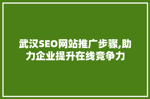 武汉SEO网站推广步骤,助力企业提升在线竞争力