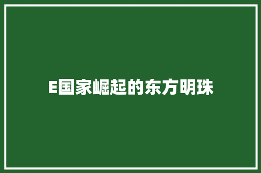 E国家崛起的东方明珠