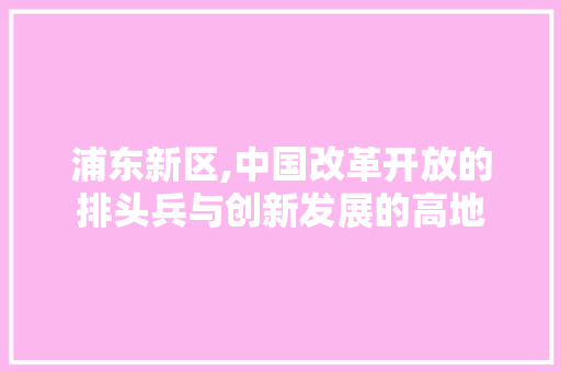 浦东新区,中国改革开放的排头兵与创新发展的高地