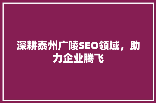 深耕泰州广陵SEO领域，助力企业腾飞
