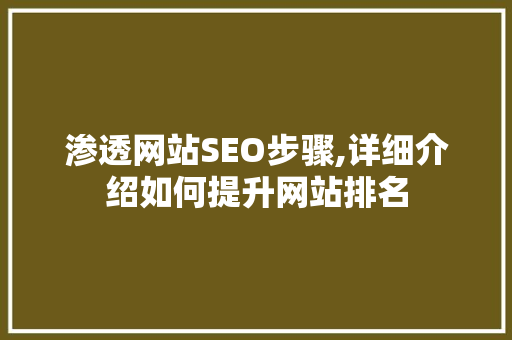 渗透网站SEO步骤,详细介绍如何提升网站排名