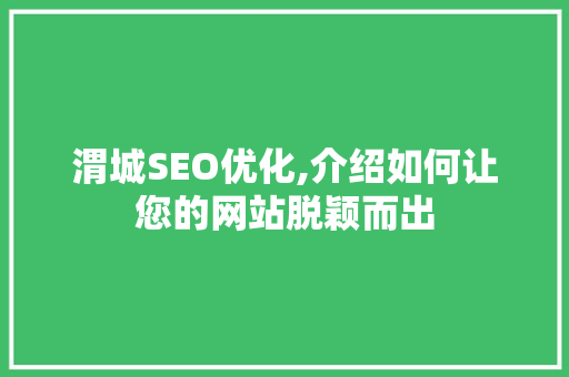 渭城SEO优化,介绍如何让您的网站脱颖而出