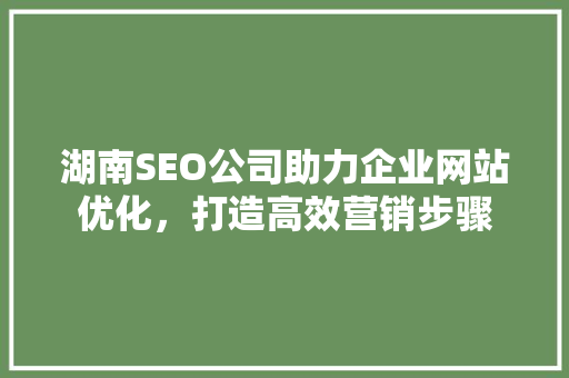 湖南SEO公司助力企业网站优化，打造高效营销步骤