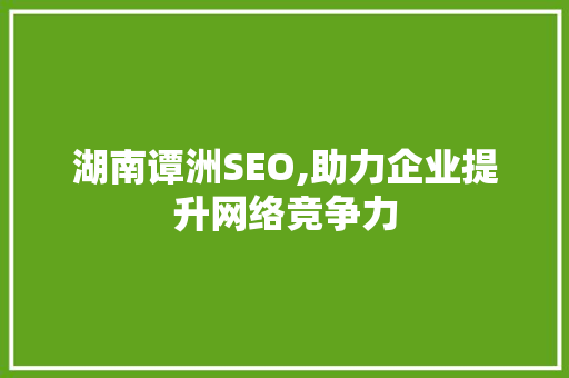 湖南谭洲SEO,助力企业提升网络竞争力