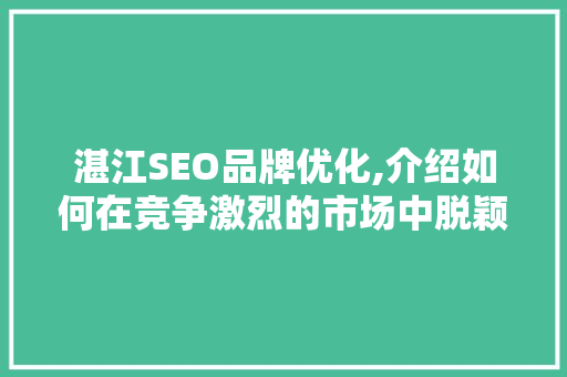湛江SEO品牌优化,介绍如何在竞争激烈的市场中脱颖而出