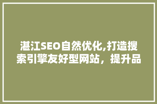 湛江SEO自然优化,打造搜索引擎友好型网站，提升品牌影响力
