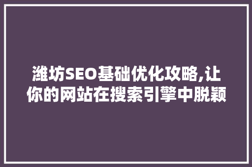 潍坊SEO基础优化攻略,让你的网站在搜索引擎中脱颖而出