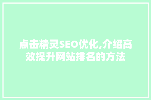 点击精灵SEO优化,介绍高效提升网站排名的方法